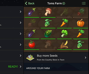 Screenshot of the game